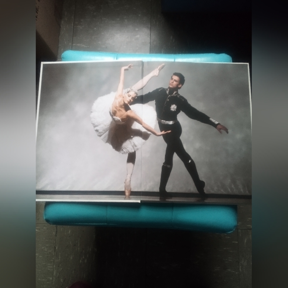 Ballet Book - Picture 8 of 8